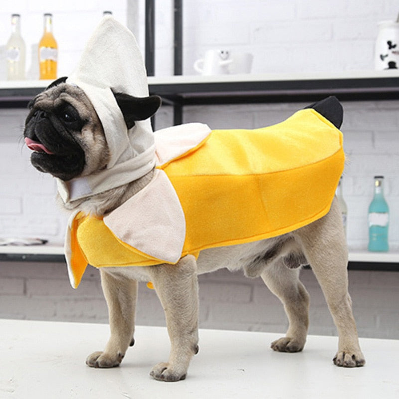 Halloween banana pet clothes
