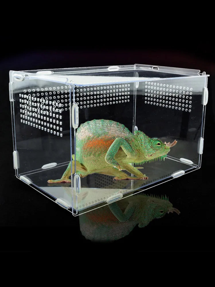 Transparent Reptile Breeding Box Acrylic Feeding Box 360 Degree High Transparent Pet Climbing Terrarium