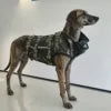 Wholesale Durable Anti-Bite Dog Protection Suit for Working Dogs in Security and Hunting
