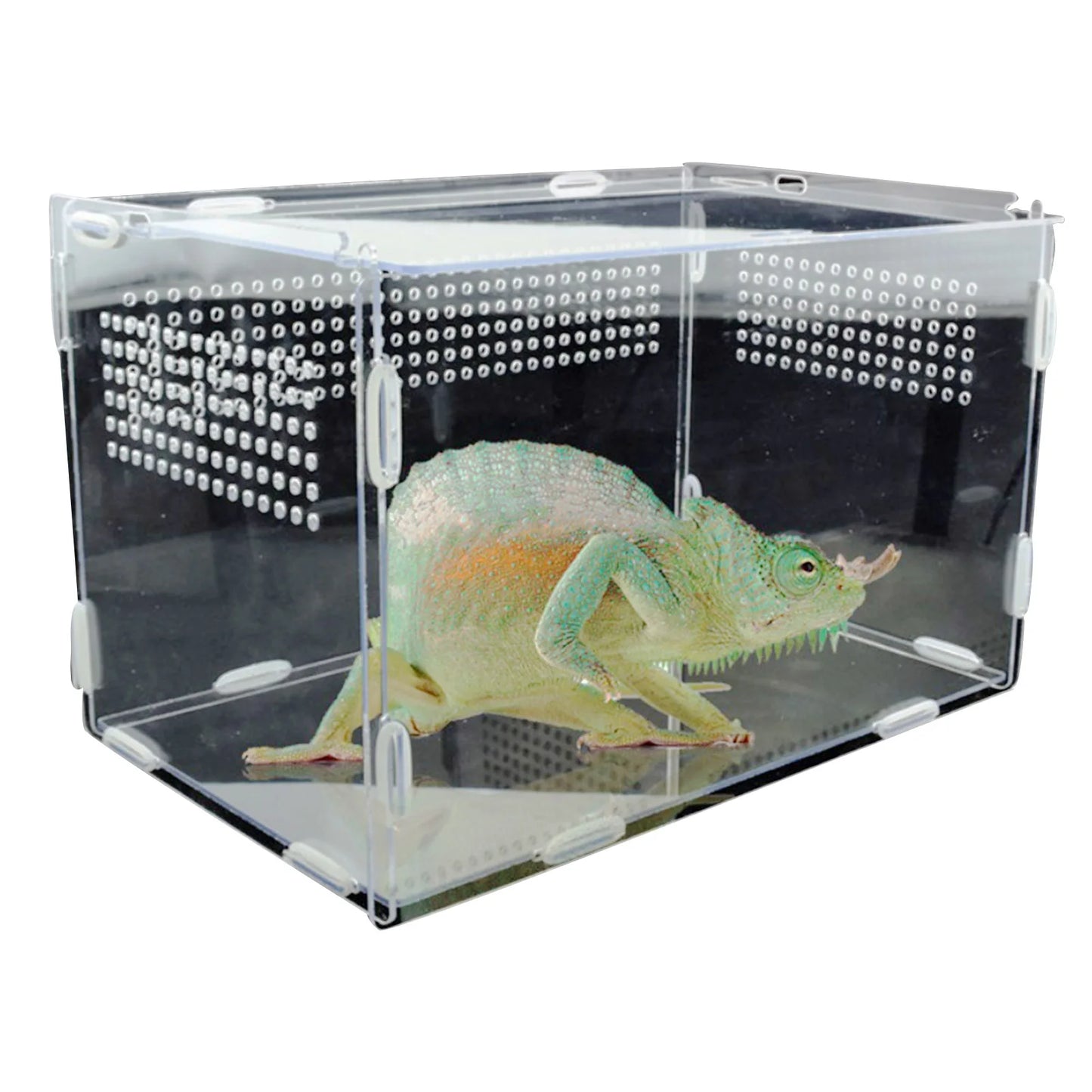 Transparent Reptile Breeding Box Acrylic Feeding Box 360 Degree High Transparent Pet Climbing Terrarium