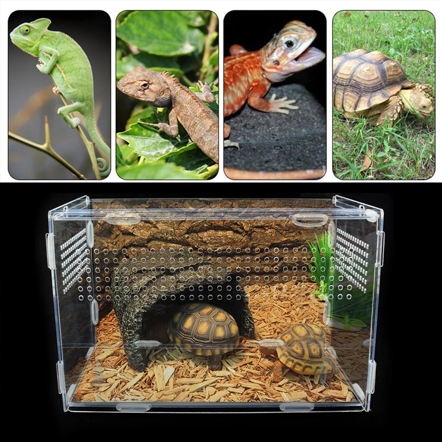 Transparent Reptile Breeding Box Acrylic Feeding Box 360 Degree High Transparent Pet Climbing Terrarium