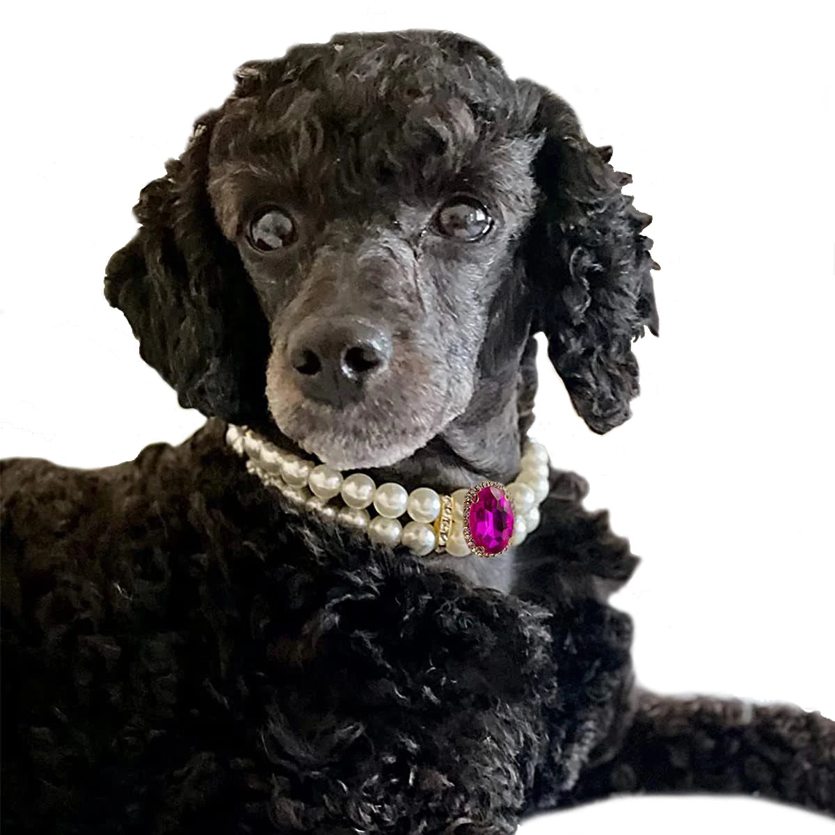 Dog Pearl Collar Necklaces Luxury Bling Rhinestones Wedding Collar Crystal Jewelry for Dogs Cat Clothes Costume Pet Accessories