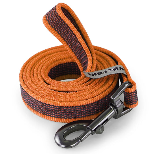 1.5M/5M/3M/2M Medium Small Long Dog Leash Latex Silk Easy and Convenient Training Big Dual Color WALK THE Dog Leash 10 Meters