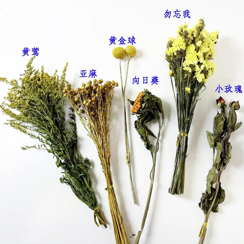 Hamster Nest Landscape, Dried Flowers, Real Plants, Flowers, Leaves, Hamster Special Mattress, Grains, Small Pet Cages, Habitat