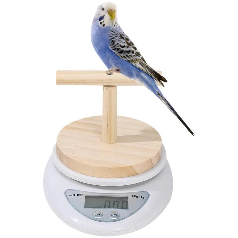 NEW Parrot Weight Scale Bird Electronic Weight Scale High-Precision Pet Electronic Scale For Small Birds Such Aslovebirds