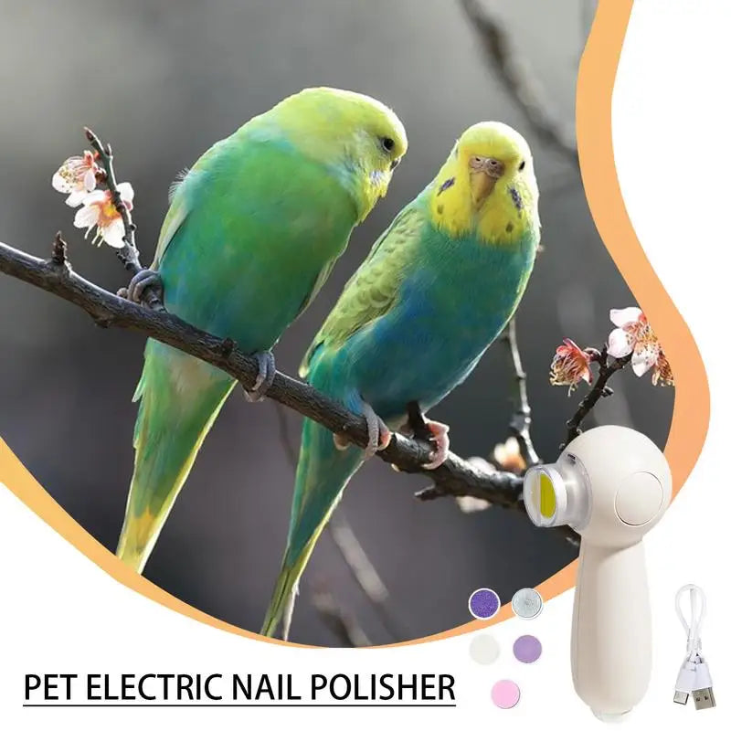 Beak Grinder For Birds Noiseless Electric Beak Grinder Multipurpose Bird Care Supplies Nail Trimming Tool With 6 Grinding Heads