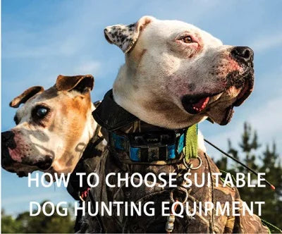 Hunting Dog Catch Vest, Wild Boar, Outside Pig Hunting Clothes, Hog Cut Gear, Collar Protection