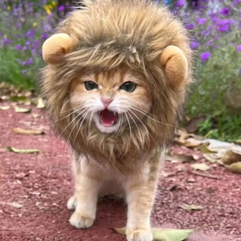 New Cute Funny Pets Clothes Cap Cute Cat Wig Lion Mane Costume Cosplay Kitten Dog Hat with Ears Fancy Party Supplies