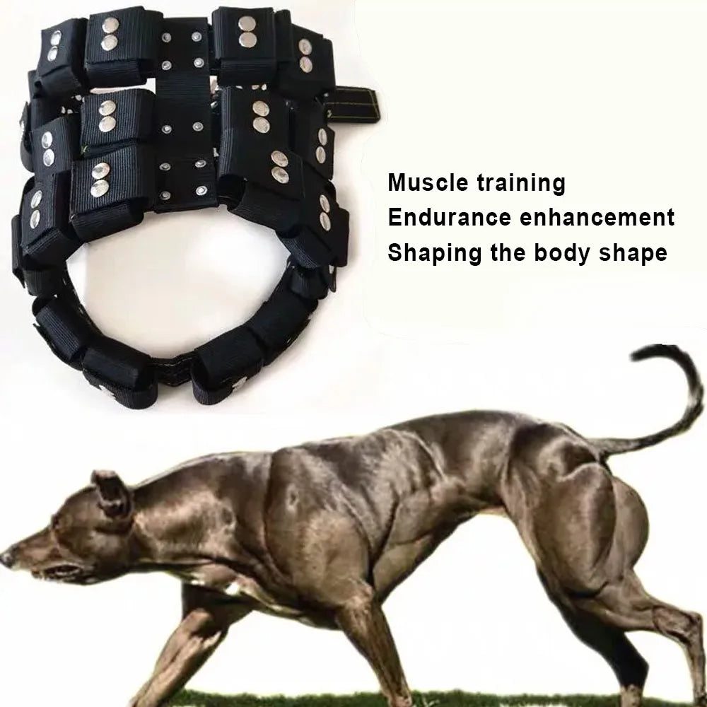 S-XL Empty Shell Weight Carrying Strap Workout Vest with Pockets Muscle Power Training Dog Harness For Large Medium Small Dogs