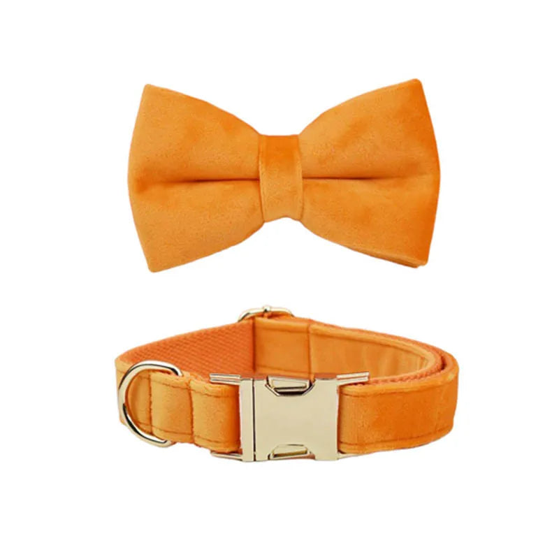 Orange Velvet Dog Collar And Leash Set For Dogs Custom Engraved Nameplate Pet Supplies Dog Leash Velvet 41