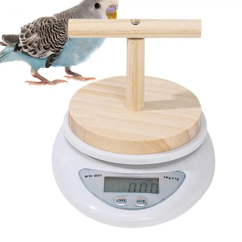 NEW Parrot Weight Scale Bird Electronic Weight Scale High-Precision Pet Electronic Scale For Small Birds Such Aslovebirds