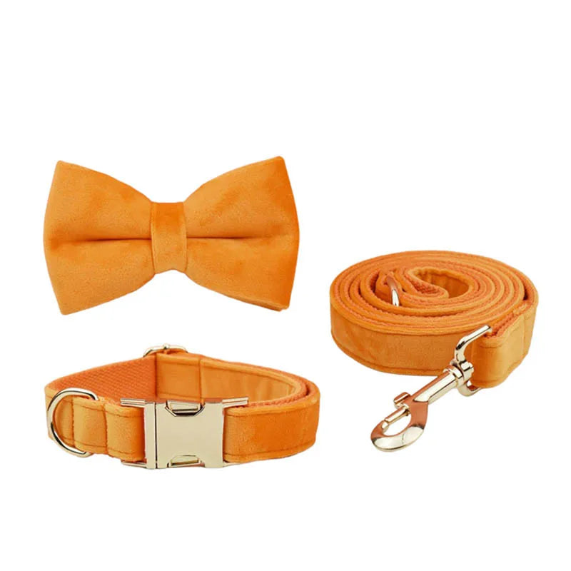 Orange Velvet Dog Collar And Leash Set For Dogs Custom Engraved Nameplate Pet Supplies Dog Leash Velvet 41
