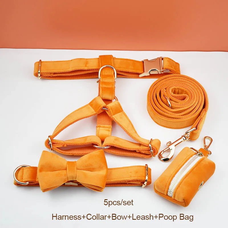 Orange Velvet Dog Collar And Leash Set For Dogs Custom Engraved Nameplate Pet Supplies Dog Leash Velvet 41