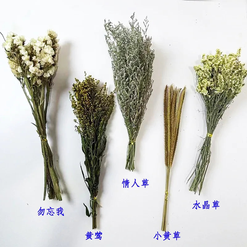 Hamster Nest Landscape, Dried Flowers, Real Plants, Flowers, Leaves, Hamster Special Mattress, Grains, Small Pet Cages, Habitat