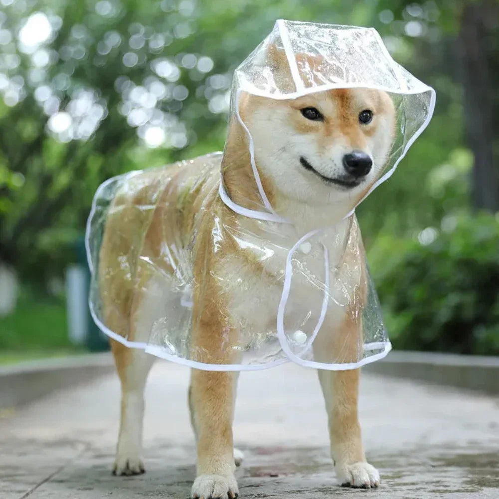 During the rainy season, dogs go out in transparent raincoats; Hooded waterproof jacket made of soft PVC material, dog raincoat