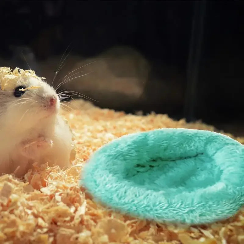 Hamster Coconut Beds Natural Coconut Hamsters Hideout Hammock Suspension Husk Hamsters Bed House With Warm Pad Small Animals