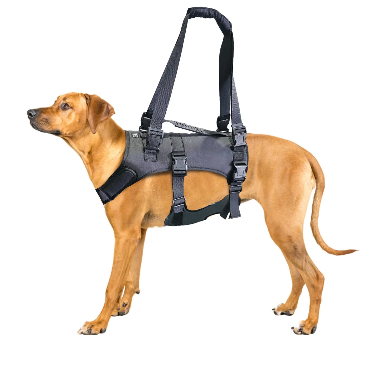 Dog Lift Harness for Large Dog,Full Body Support Sling - Adjustable Handle Recovery Vest for Senior Dogs, Arthritis Joint Injury