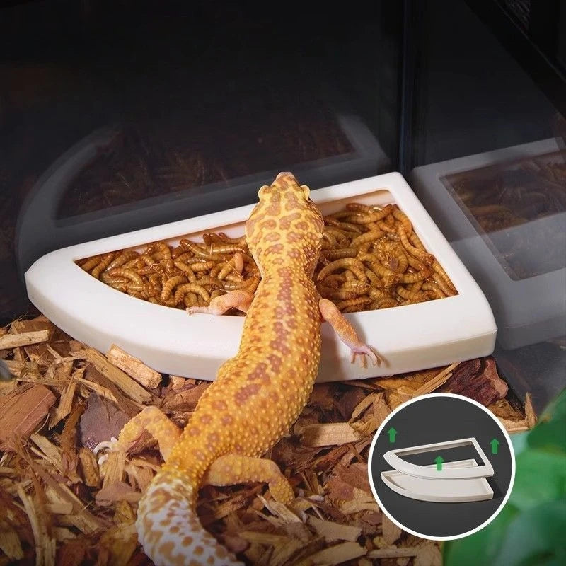 Special Feeding Bowls for Reptiles, Lizards, Hamsters, Anti-escape Mealworm Storage Containers, Pet Feeding Supplies