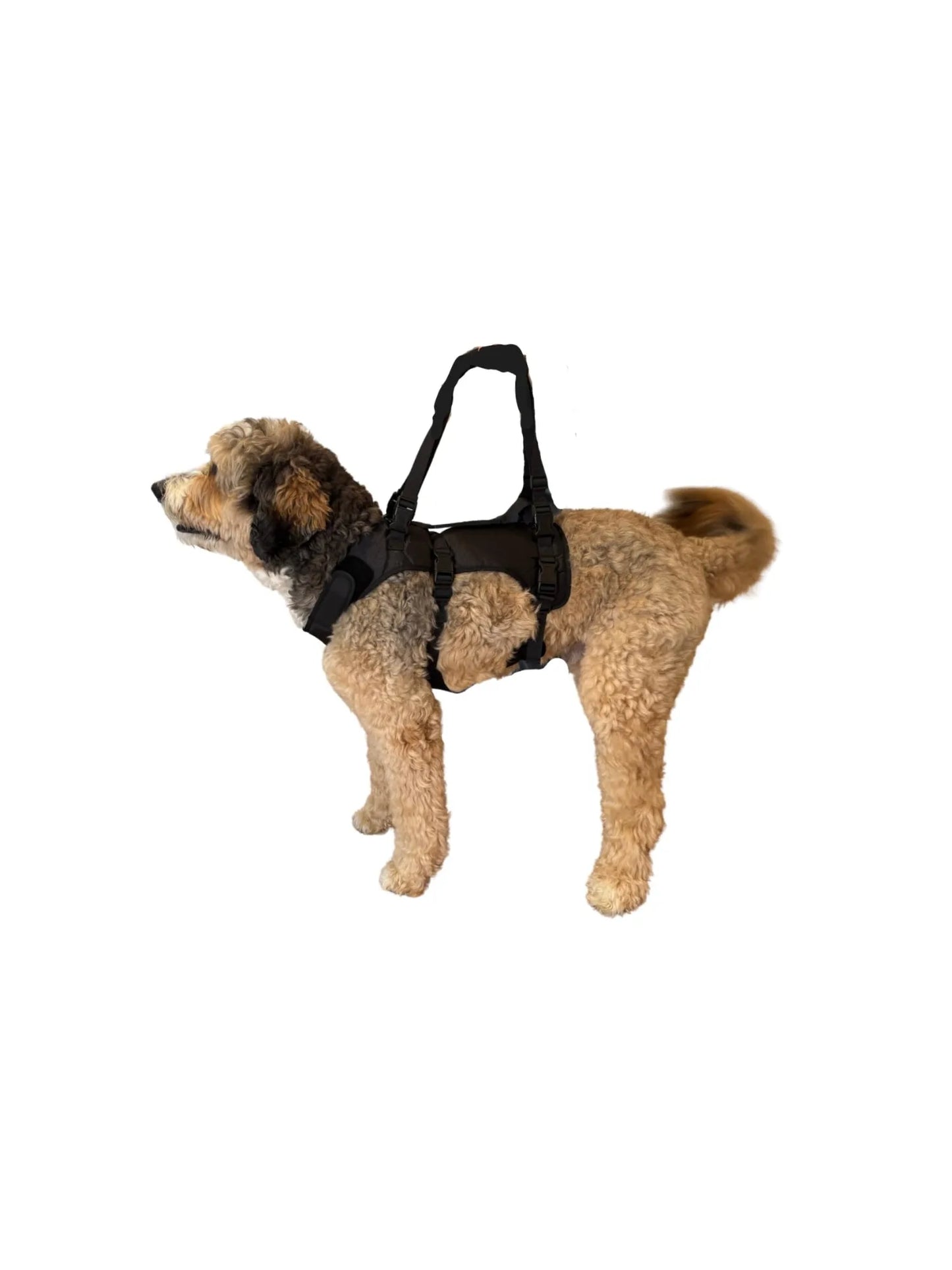 Dog Lift Harness for Large Dog,Full Body Support Sling - Adjustable Handle Recovery Vest for Senior Dogs, Arthritis Joint Injury