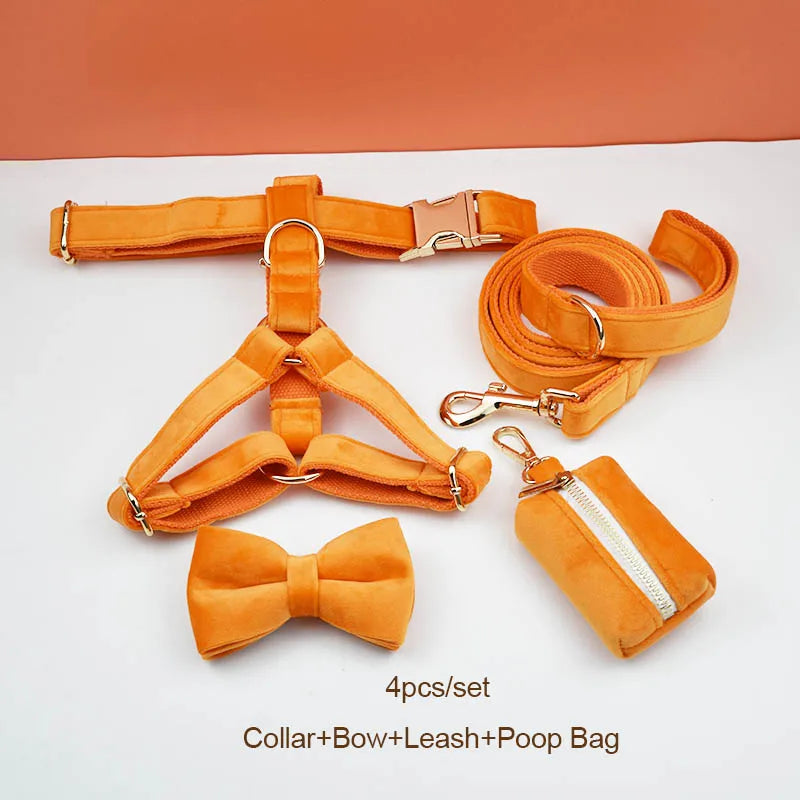 Orange Velvet Dog Collar And Leash Set For Dogs Custom Engraved Nameplate Pet Supplies Dog Leash Velvet 41