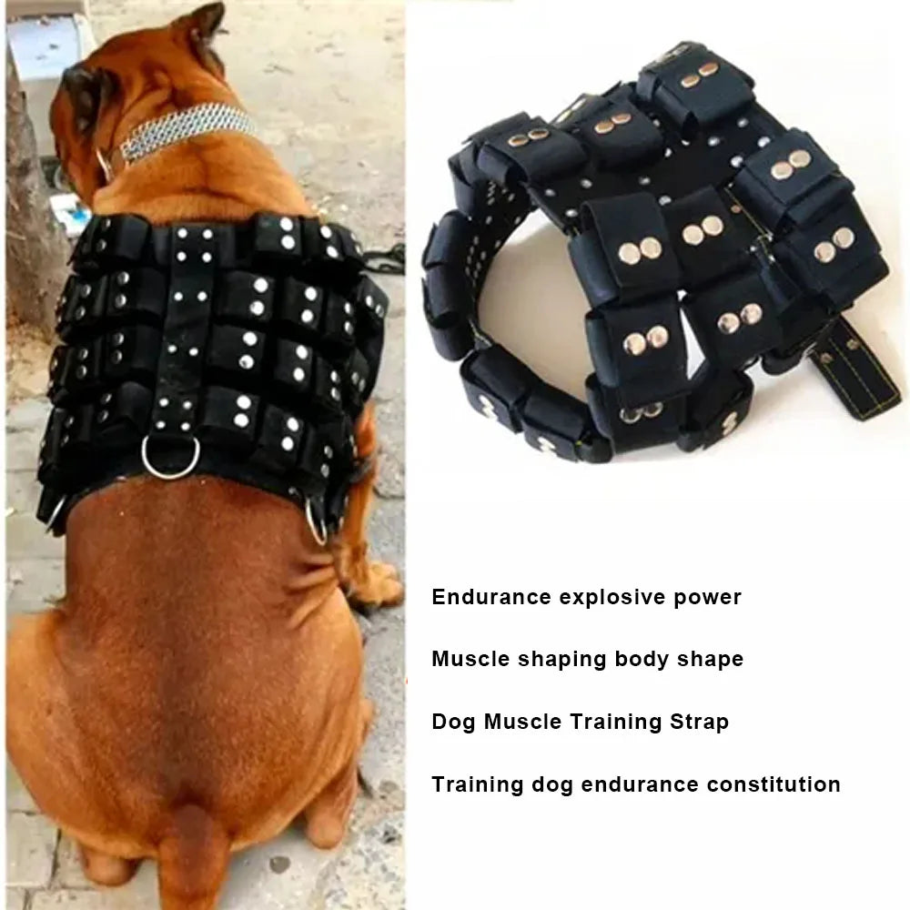 S-XL Empty Shell Weight Carrying Strap Workout Vest with Pockets Muscle Power Training Dog Harness For Large Medium Small Dogs