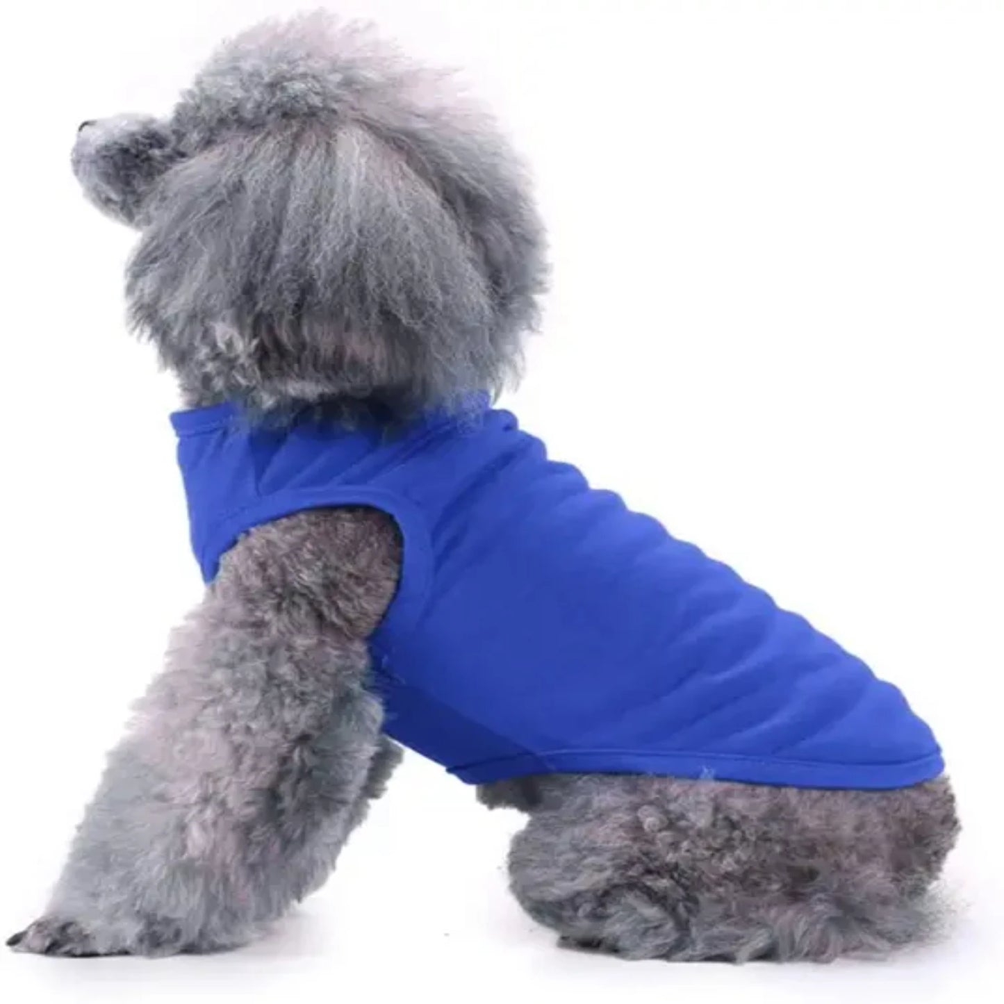 Dog Shirt Clothes, Spring Summer T Shirt Apparel Soft Blank Shirts Clothes  Extra Small Medium Large Extra Large Size Dogs