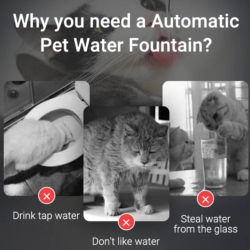ROJECO Automatic Cat Water Fountain Smart Pet Water Dispenser with Pump for Dog Rechargeable Drinking Filter Cat Drinking Supply