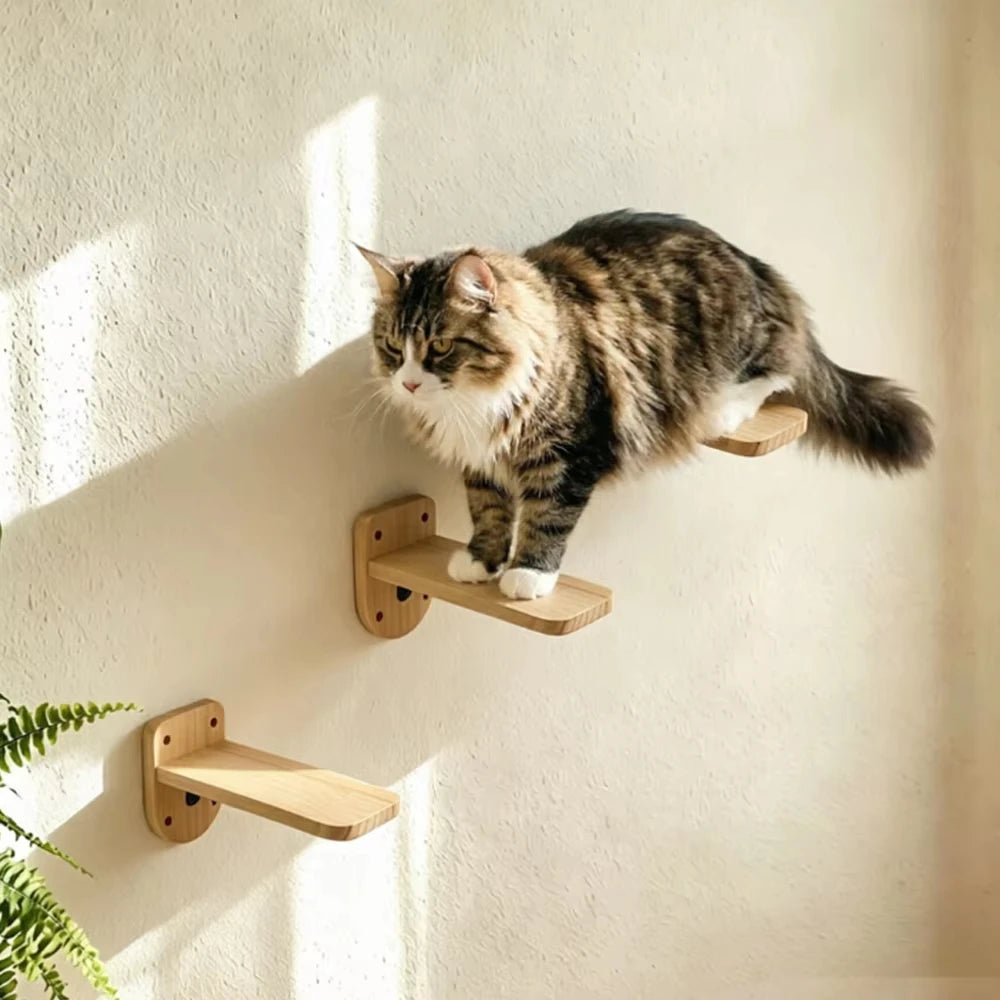 Wall Mounted Cat Shelves Set Moon Shape Hammock Star Perches Climbing Steps Cat Furniture For Kitten Cats Indoor Rest Playing Sleeping