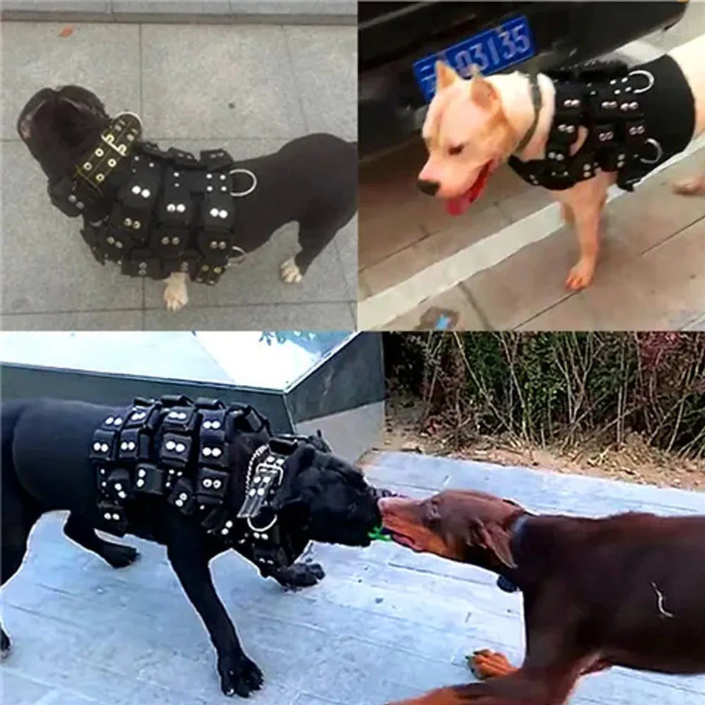 S-XL Empty Shell Weight Carrying Strap Workout Vest with Pockets Muscle Power Training Dog Harness For Large Medium Small Dogs