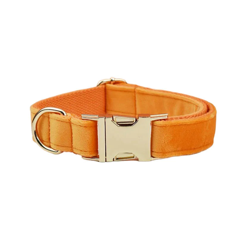 Orange Velvet Dog Collar And Leash Set For Dogs Custom Engraved Nameplate Pet Supplies Dog Leash Velvet 41