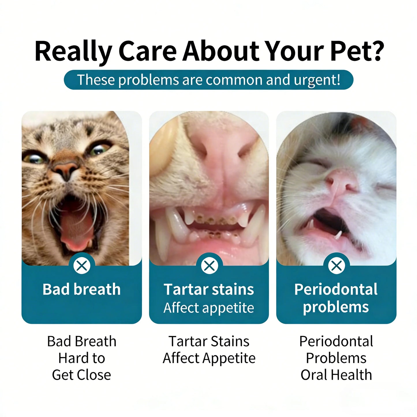 3 Pcs Pet Toothbrush Soft-bristled Toothbrush Designed For Easy Cleaning Teeth Of Cats & Dogs Suitable Small To Large Dogs, cats