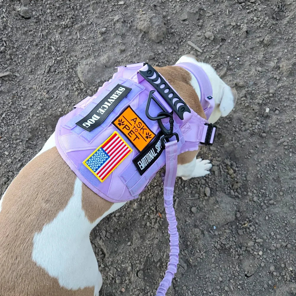 Purple Tactical Dog Harness Military Pet Vest with Leash Collar and 12 Patches for Large Dogs German Shepherd Outdoor Training