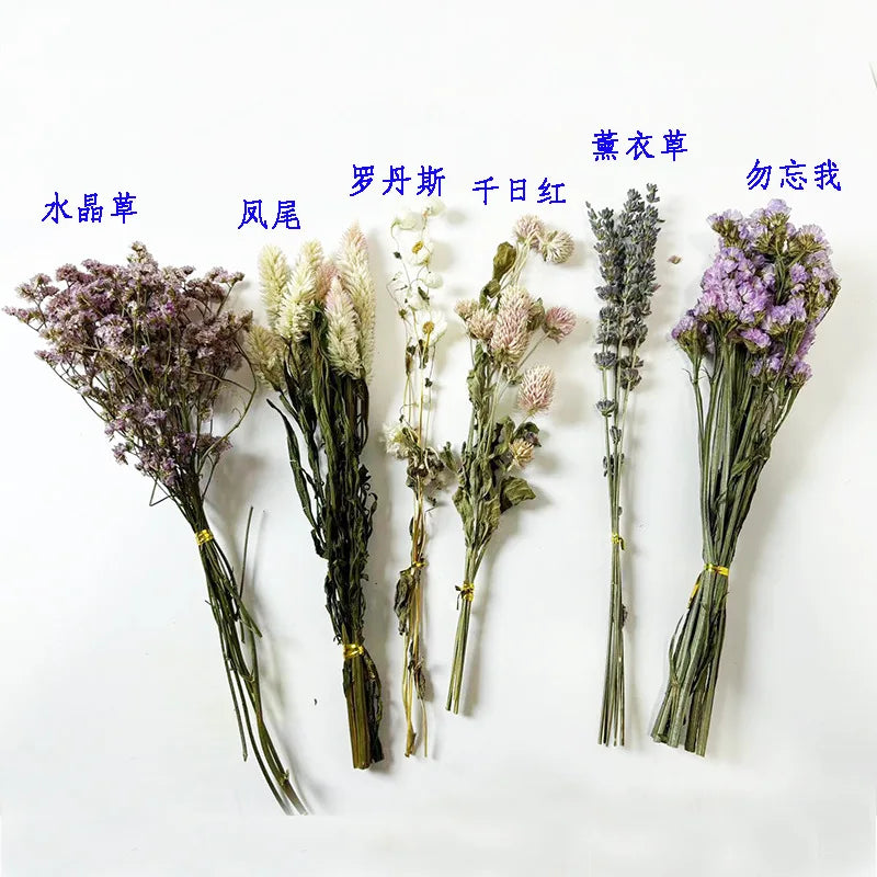 Hamster Nest Landscape, Dried Flowers, Real Plants, Flowers, Leaves, Hamster Special Mattress, Grains, Small Pet Cages, Habitat