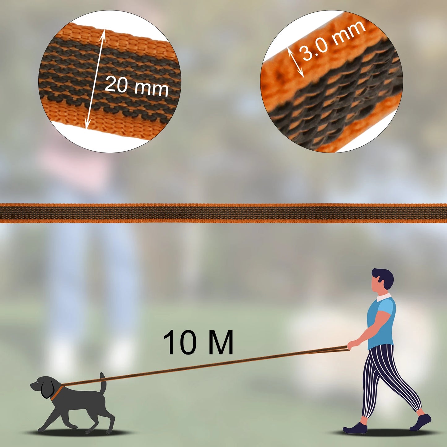 1.5M/5M/3M/2M Medium Small Long Dog Leash Latex Silk Easy and Convenient Training Big Dual Color WALK THE Dog Leash 10 Meters