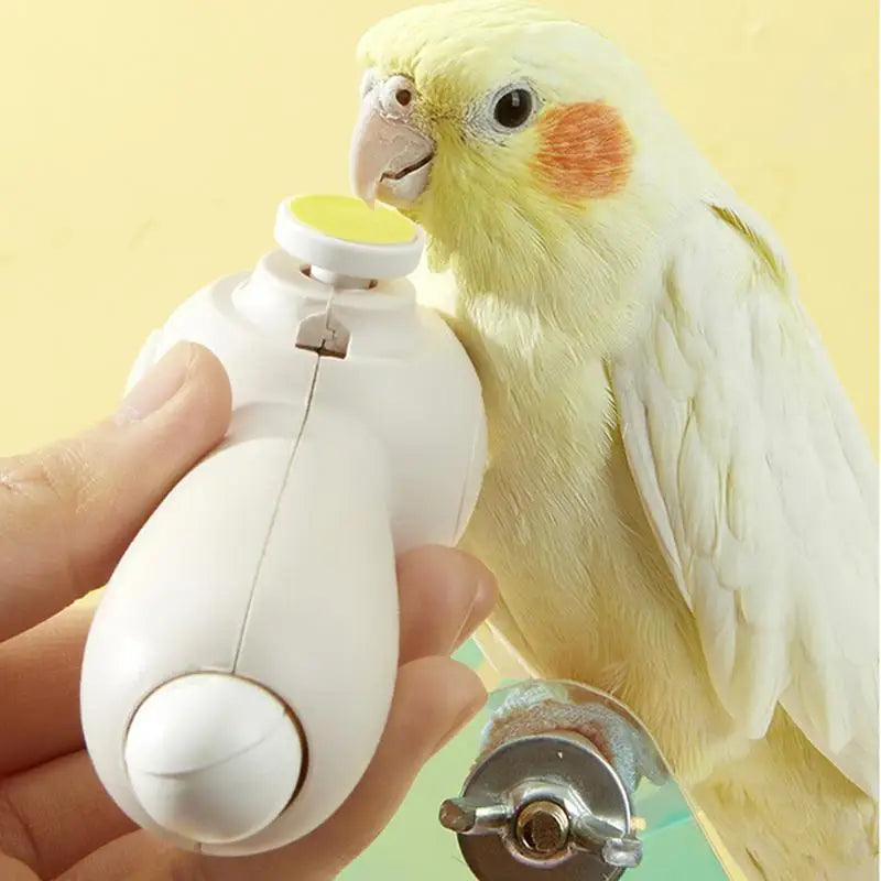 Beak Grinder For Birds Noiseless Electric Beak Grinder Multipurpose Bird Care Supplies Nail Trimming Tool With 6 Grinding Heads
