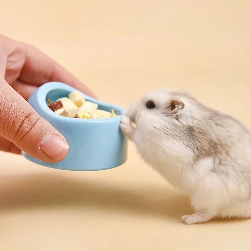 1pc Bowls Bowl Hamsters Food Pet Feeding Ant Water Proof Feeder Anti Hamsters And Birds Dish Outdoor Drinking Dispenser
