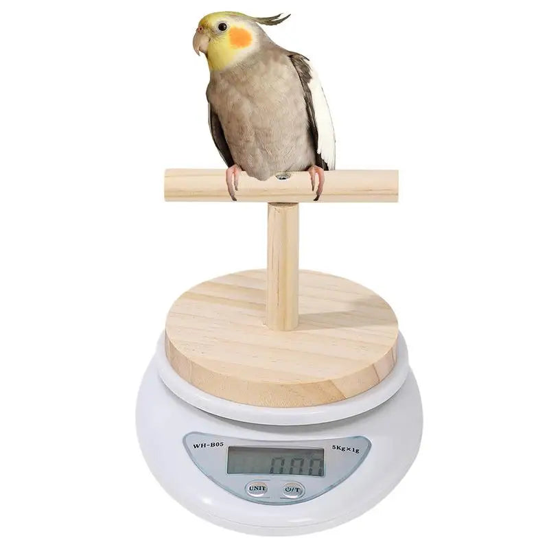 NEW Parrot Weight Scale Bird Electronic Weight Scale High-Precision Pet Electronic Scale For Small Birds Such Aslovebirds