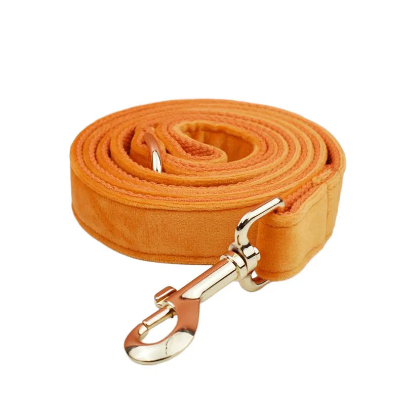 Orange Velvet Dog Collar And Leash Set For Dogs Custom Engraved Nameplate Pet Supplies Dog Leash Velvet 41