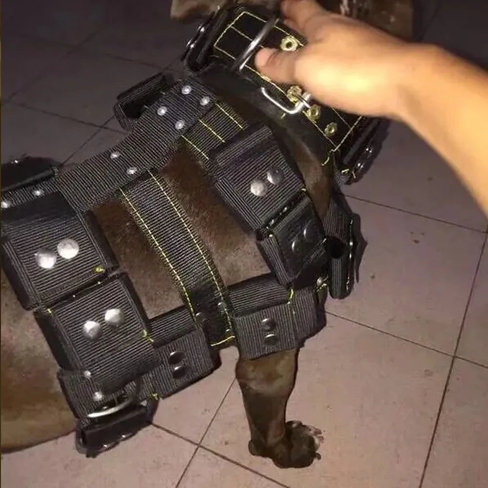 S-XL Empty Shell Weight Carrying Strap Workout Vest with Pockets Muscle Power Training Dog Harness For Large Medium Small Dogs