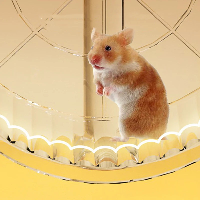 Hamster Cage Wheel Exercise Acrylic Transparent Non Slip Easy Clean with Stand for Small Pets