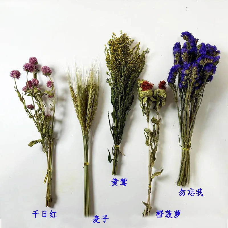 Hamster Nest Landscape, Dried Flowers, Real Plants, Flowers, Leaves, Hamster Special Mattress, Grains, Small Pet Cages, Habitat