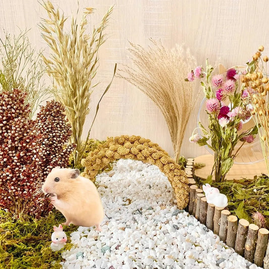 Hamster Nest Landscape, Dried Flowers, Real Plants, Flowers, Leaves, Hamster Special Mattress, Grains, Small Pet Cages, Habitat