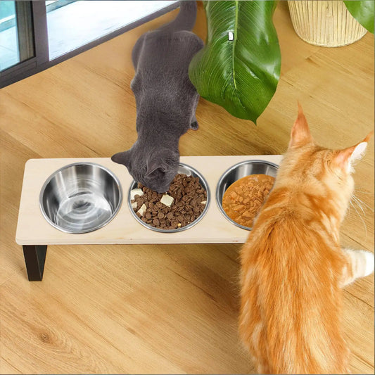 Elevated Cat Bowls Feeder 15° Tilted Raised Feeding & Watering Supplies Pet 3 Stainless Steel Bowls with Stand for Cats Puppies