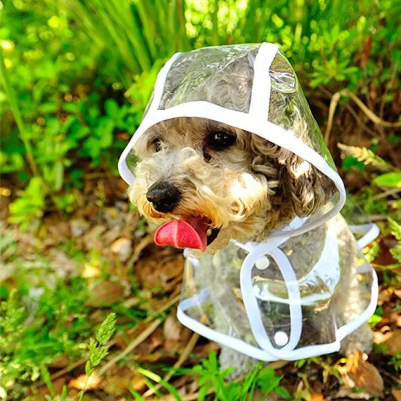 During the rainy season, dogs go out in transparent raincoats; Hooded waterproof jacket made of soft PVC material, dog raincoat