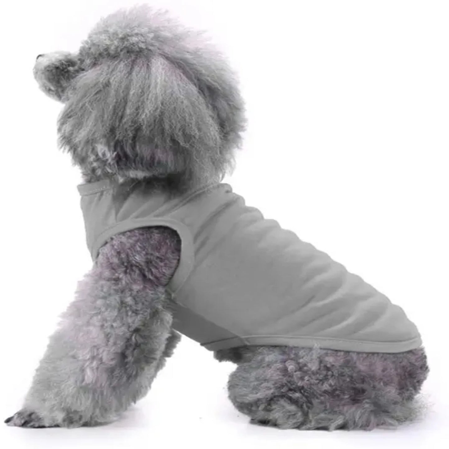 Dog Shirt Clothes, Spring Summer T Shirt Apparel Soft Blank Shirts Clothes  Extra Small Medium Large Extra Large Size Dogs