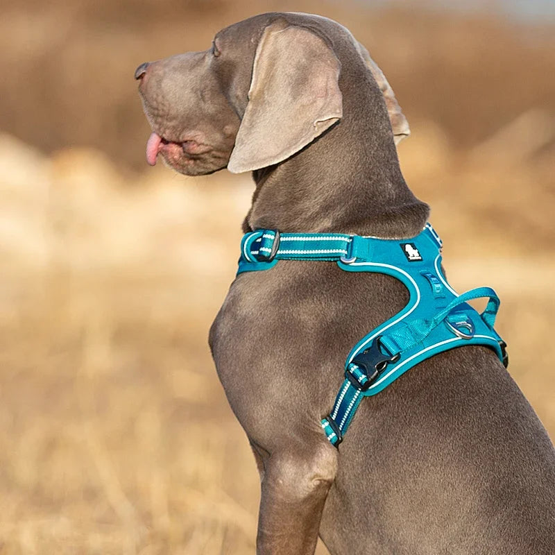 Truelove Pet Reflective Nylon Dog Harness  No Pull Vest Soft Adjustable Medium And Large Dog Undershirt Walking Running TLH56512
