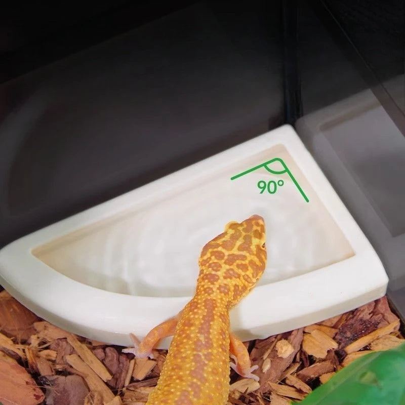 Special Feeding Bowls for Reptiles, Lizards, Hamsters, Anti-escape Mealworm Storage Containers, Pet Feeding Supplies