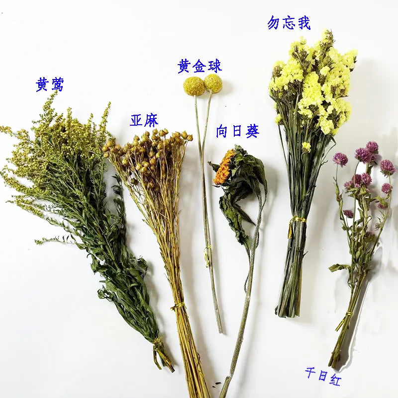 Hamster Nest Landscape, Dried Flowers, Real Plants, Flowers, Leaves, Hamster Special Mattress, Grains, Small Pet Cages, Habitat