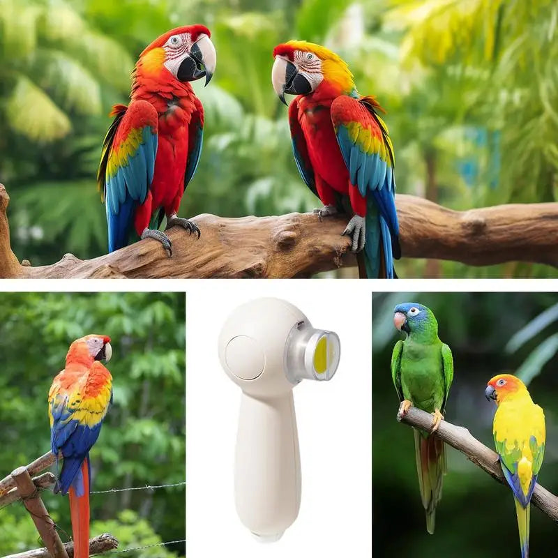 Beak Grinder For Birds Noiseless Electric Beak Grinder Multipurpose Bird Care Supplies Nail Trimming Tool With 6 Grinding Heads