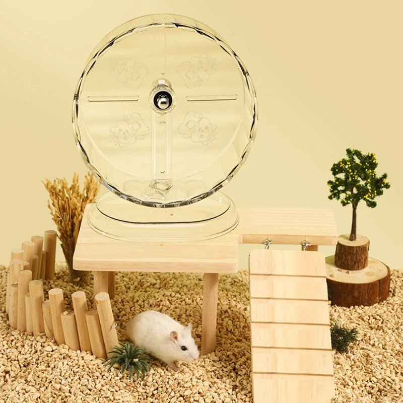 Hamster Cage Wheel Exercise Acrylic Transparent Non Slip Easy Clean with Stand for Small Pets